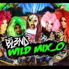 Dj Bl3nd - Wild Mix
