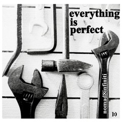 everything is perfect (nomad8infiniti original mix)