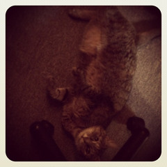 Katerfrühstück 07.12.13 Rohtabak\Döbeln