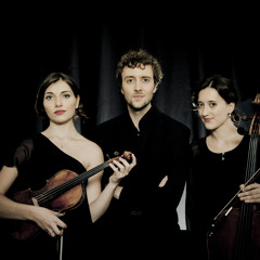 Haydn Piano Trio in G-major_Poco Adagio Cantabile