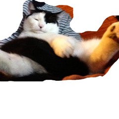 ...von so hell wie du, bis so dunkel dass du nix mehr siehst :-)