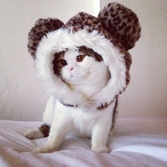 Shoose - ifuu doudou