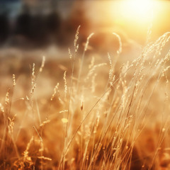A New Day To Come