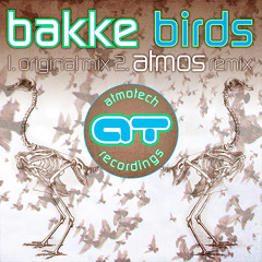 Bakke - Birds (Atmos Remix)