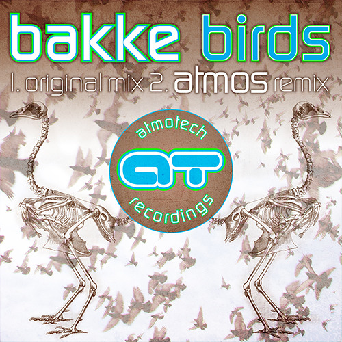 Bakke - Birds (Atmos Remix)