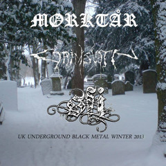 S.F.I Sturmgeist Fornicator Insultus - Storming Rain Armageddon