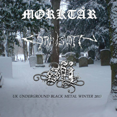 S.F.I Sturmgeist Fornicator Insultus - Storming Rain Armageddon