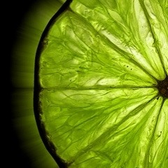 Alien Life Form (2000)