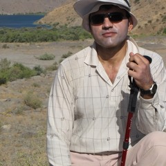 hedi