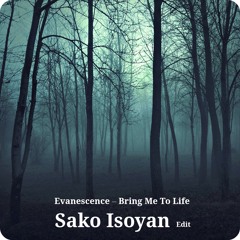 Bring Me To Life (Sako Isoyan)