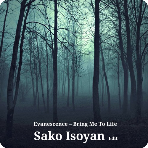 Bring Me To Life (Sako Isoyan)