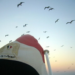 Haneen Qalby - حنين قلبي