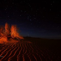 Shabe-Kavir