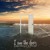 Artwork for Swing Low - J King