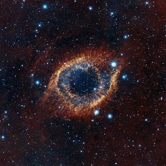 Tina Turner - Golden Eye by EnnoiA