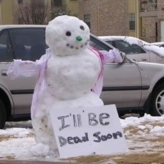 There's Beauty In Here Somewhere