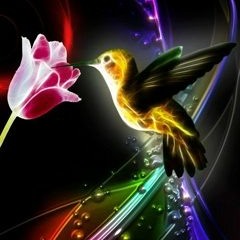 That Bird Machine needs a Head Band (JayBM Bootleg)- DJ Snake, B.O.B, & 2 Chainz