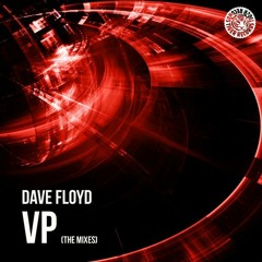 Dave Floyd - Voodoo People (Original Mix) [Tiger Records]