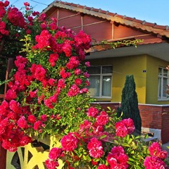 [Ngôi Nhà Hoa Hồng] ft. Sullian