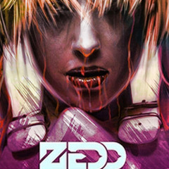 Stay The Night (Zedd Vs Perfecto Playboys)