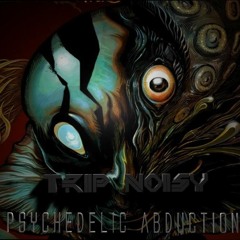 Trip Noisy-Cuarto Contacto-Intro(Año 2013)