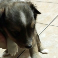 Dont stop color on the walls