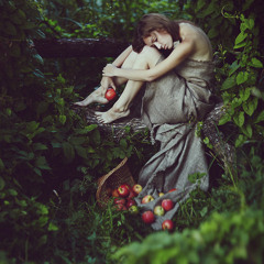 Dream - Rabpit