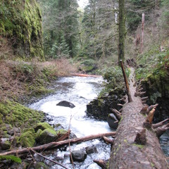 Your City Sleeps - I Held Your Hand (Ian Cowan's Walking Together Mix)