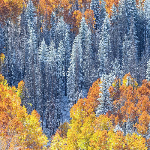 Jawk @ Kaika Tigudi mix