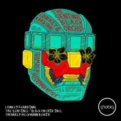 Kardinal & Lowkey - The Sentinel (Thomas P. Heckmann Remix)