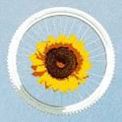 A Pé Do Congo - mohandas