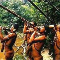 Cul Rare (live test)