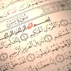 سورة يس, مشاري العفاسي