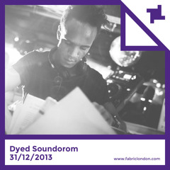 Dyed Soundorom - fabric NYE 2013 Promo Mix
