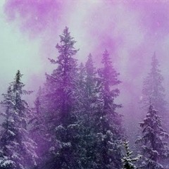 JULY- WIZARD ft.Paul Curtis