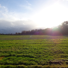 ZOLTAN FREITAG / VITA NOCTIS - Something New