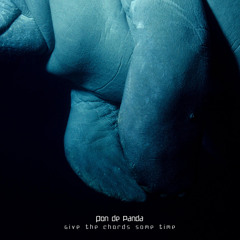 Pon De Panda - Give The Chords Some Time