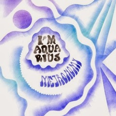 Metronomy - I’m Aquarius - (Edwin Van Cleef Remix)