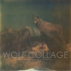 Alternative/Folk/Pop/Indie