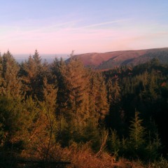 Sarah Joy - Beautiful