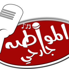 المواطن جارحى - كشف حساب 2013