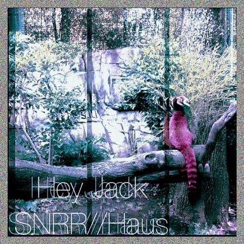 SNRR (KMRT Remix)