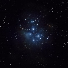 Weihnachtssternträume