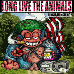 What Chemicals Do You Use (Out on LLTA Jungle4Jungle 002)