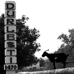 Durlești 1470 mix