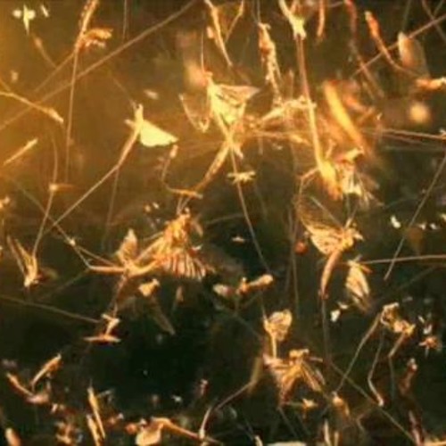 Massive Attack - Psyche (Caiwo Remix)FREE DL CLICK BUY