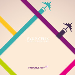 Eyup Celik - Nobody Feels Like preview