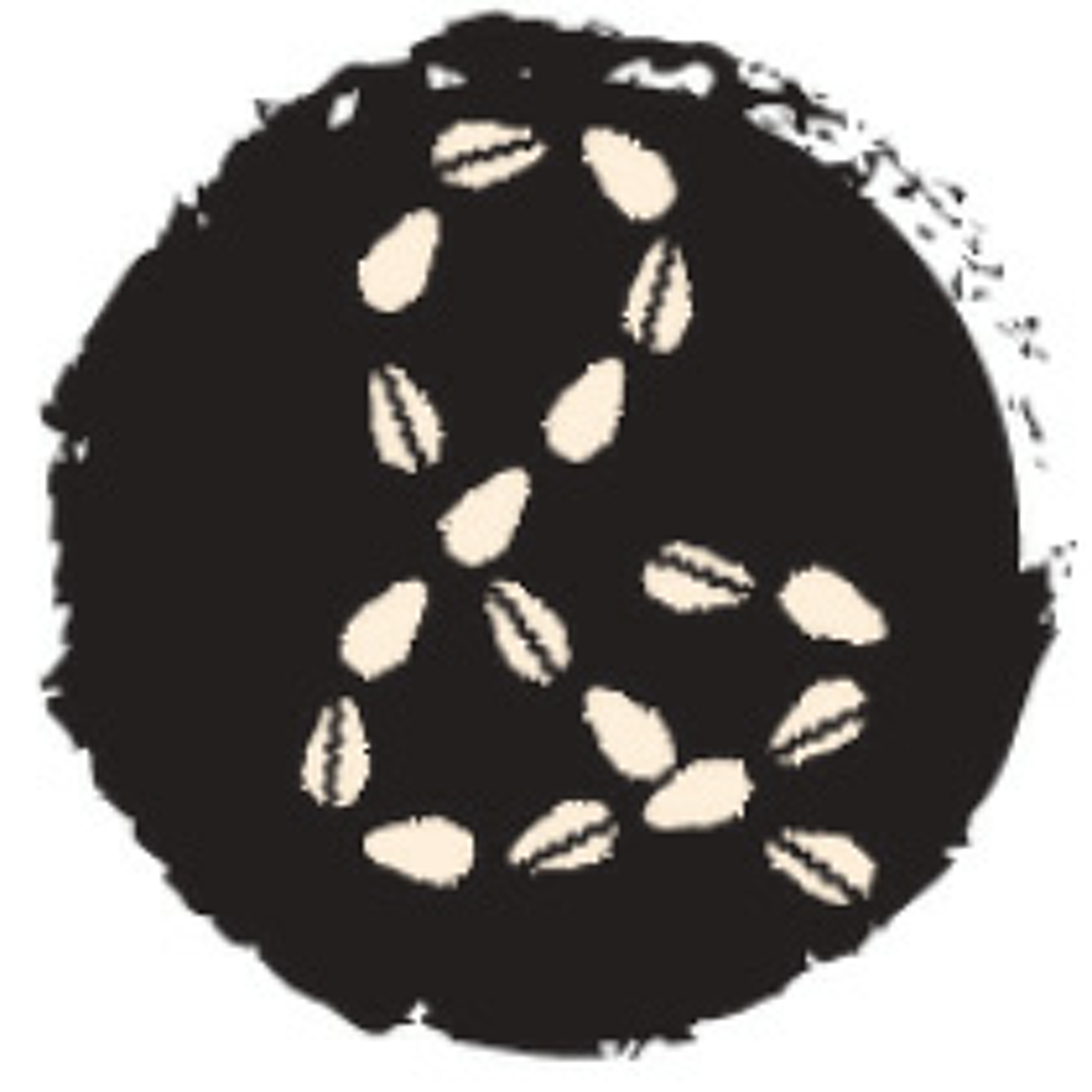 Cowries and Rice