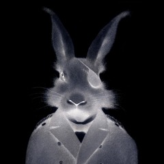 Kadawa - run rabbit
