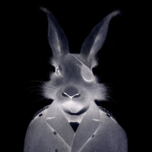 Kadawa - run rabbit